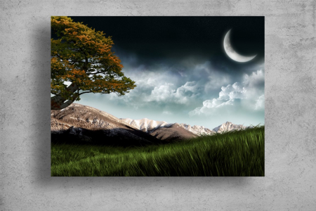 Tablou Canvas - Luna si muntii [1]