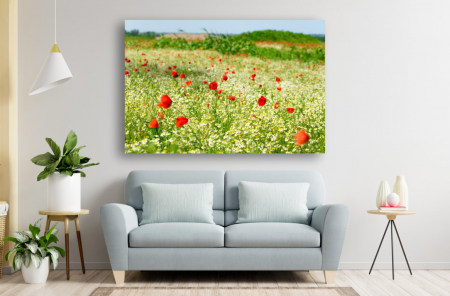 Tablouri Canvas cu peisaje - Tablou Canvas - Macii si margaretele la campie