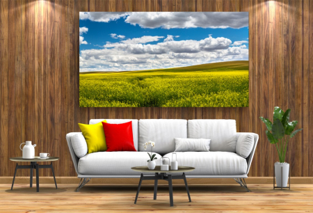 Tablouri Canvas cu peisaje - Tablou Canvas - Nori si campie