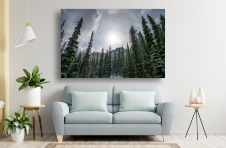 Tablouri Canvas cu peisaje - Tablou Canvas - Padurea de pini acoperita de zapada la rasarit