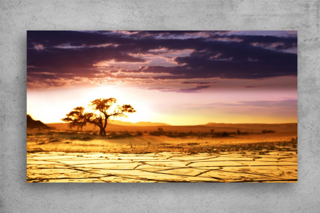 Tablou Canvas - Pamant arid la rasarit [1]