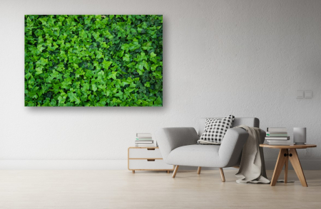 Tablouri Canvas Flori - Tablou Canvas - Peretele verde