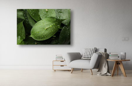 Tablouri Canvas - Abstract - Tablou Canvas - Picaturi de roua pe frunze