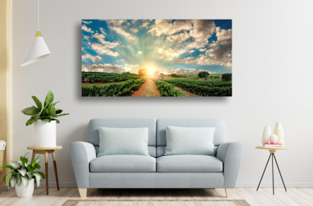 Tablouri Canvas cu peisaje - Tablou Canvas - Plantatie de cafea la rasarit