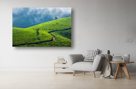 Tablouri Canvas cu peisaje - Tablou Canvas - Plantatie de ceai verde