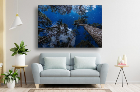 Tablouri Canvas cu peisaje - Tablou Canvas - Pomii si cerul