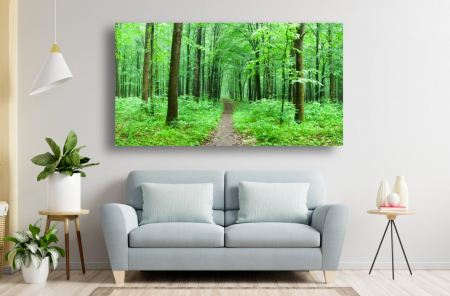 Tablouri Canvas cu peisaje - Tablou Canvas - Poteca din padurea verde