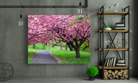 Tablouri Canvas cu peisaje - Tablou Canvas - Poteca din parc