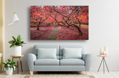 Tablouri Canvas cu peisaje - Tablou Canvas - Poteca printre pomii de cires