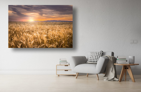 Tablouri Canvas cu peisaje - Tablou Canvas - Rasarit deasupra campului de grau