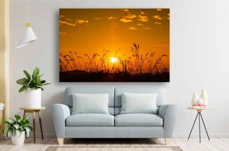 Tablouri Canvas cu peisaje - Tablou Canvas - Rasaritul la campie