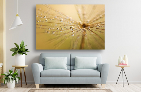 Tablouri Canvas cu peisaje - Tablou Canvas - Roua pe papadie