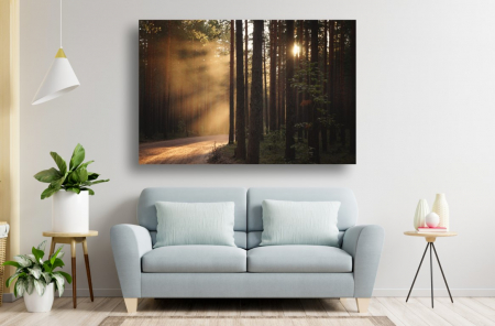 Tablouri Canvas cu peisaje - Tablou Canvas - Soarele printre copaci in padurea intunecata