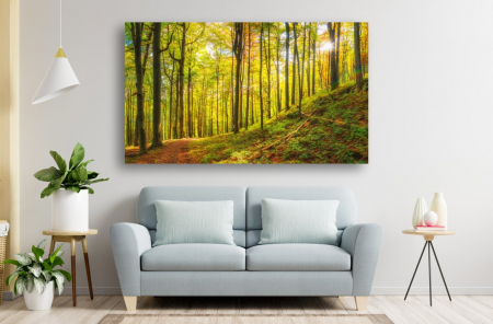 Tablouri Canvas cu peisaje - Tablou Canvas - Soarele printre pomii din padure