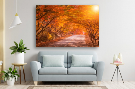 Tablouri Canvas cu peisaje - Tablou Canvas - Toamna prin padurea de artari