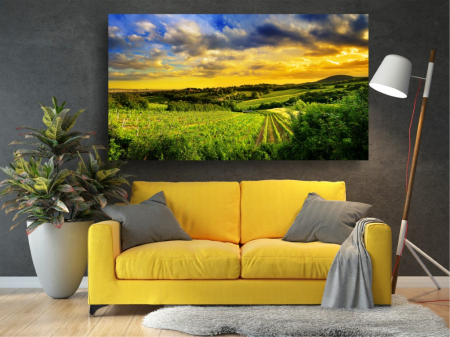 Tablouri Canvas cu peisaje - Tablou Canvas - Vita de vie la apus