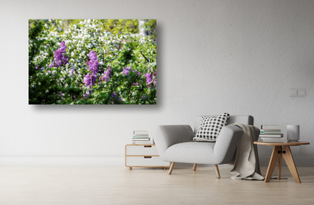 Tablouri Canvas cu peisaje - Tablou Canvas - Zambile inflorite in natura