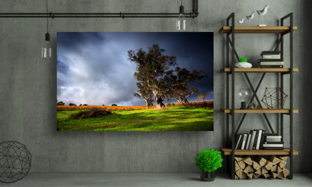 Tablouri Canvas cu peisaje - Tablou Canvas - Zi furtunoasa