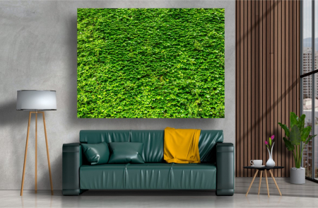 Tablouri Canvas Flori - Tablou Canvas - Zidul verde