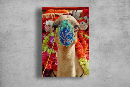 Tablouri Canvas Animale - Tablouri Canvas Animale - Camila simpatica