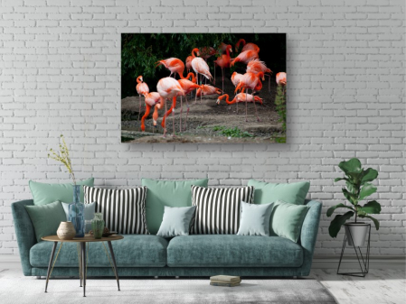 Tablouri Canvas Animale - Flamingo roz [1]