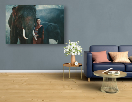 Tablouri Canvas Animale - Frumoasa si elefantii [1]