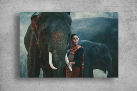 Tablouri Canvas Animale - Tablouri Canvas Animale - Frumoasa si elefantii