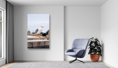 Tablouri Canvas Animale - La inaltime [1]
