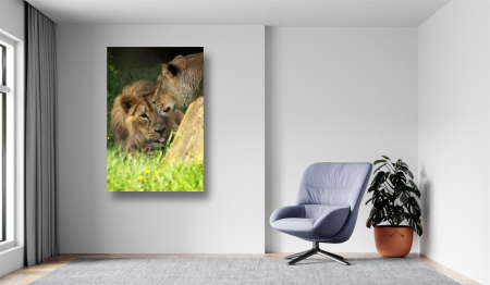 Tablouri Canvas Animale - Lei simpatici [1]