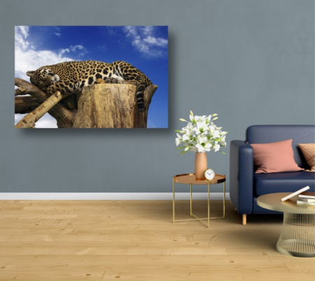 Tablouri Canvas Animale - Leopard dormind [1]