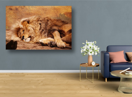 Tablouri Canvas Animale - Tablouri Canvas Animale - Leul lenes