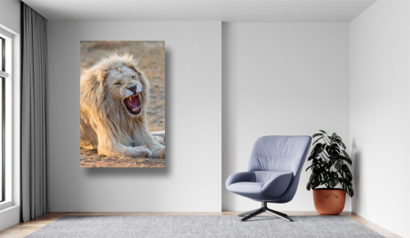 Tablouri Canvas Animale - Leul rage [1]