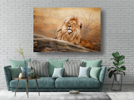 Tablouri Canvas Animale - Mascul leu [1]