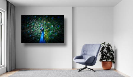 Tablouri Canvas Animale - Paun colorat [1]