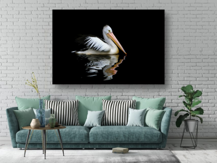 Tablouri Canvas Animale - Pelican australian [1]