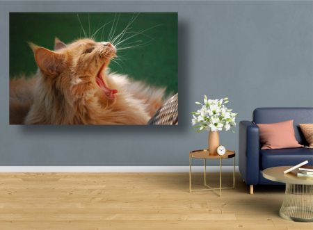Tablouri Canvas Animale - Pisica plictisita [1]