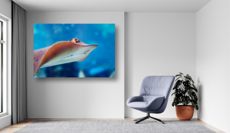 Tablouri Canvas Animale - Prin ocean [1]
