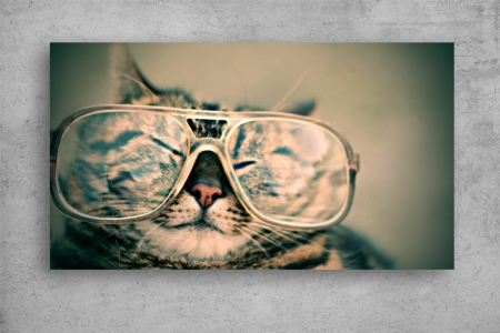 Tablouri Canvas Animale - Tablouri Canvas Animale - Retro cat