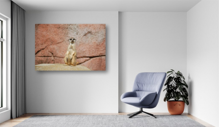 Tablouri Canvas Animale - Suricat african [1]