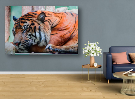 Tablouri Canvas Animale - Tigru adormit [1]