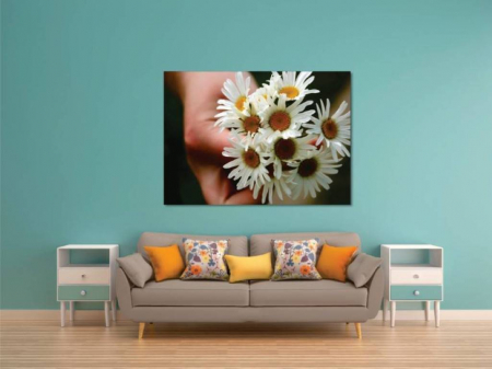 Tablouri Canvas Flori - Buchet de margarete [1]