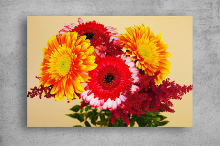 Tablouri Canvas Flori - Tablouri Canvas Flori - Buchet viu colorat