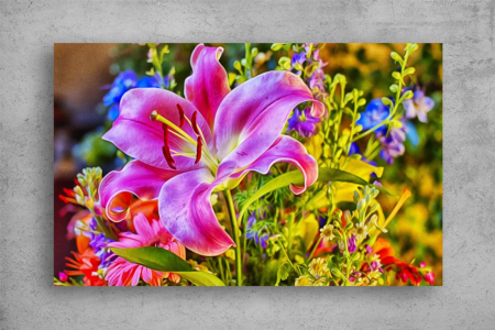 Tablouri Canvas Flori - Tablouri Canvas Flori - Crinul colorat