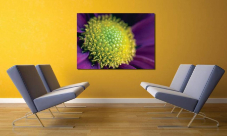 Tablouri Canvas Flori - Detaliu de floare [1]