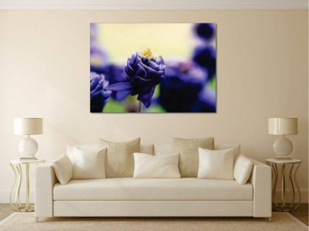 Tablouri Canvas Flori - Floare albastra [1]