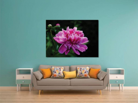 Tablouri Canvas Flori - Floare inflorita [1]