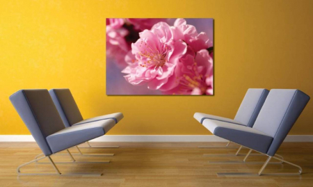 Tablouri Canvas Flori - Tablouri Canvas Flori - Floare roz