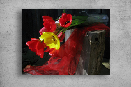 Tablouri Canvas Flori - Tablouri Canvas Flori - Flori colorate in vaza