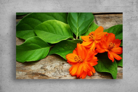 Tablouri Canvas Flori - Tablouri Canvas Flori - Flori portocalii cu frunze