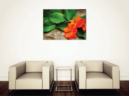 Tablouri Canvas Flori - Flori portocalii cu frunze [1]